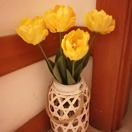 Charming In 30 M² With View Apartament