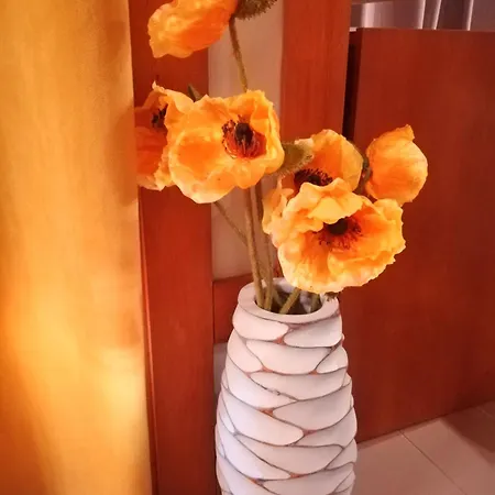 Charming In 30 M² With View Apartament *