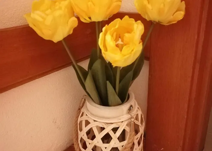 Charming In 30 M² With View Apartmán